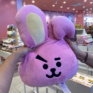 Bt21 cooky pillow