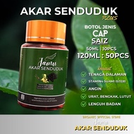 JAMU AKAR SENDUDUK Original Baik Untuk Masalah Sendi, Saraf, Angin Dan Gout