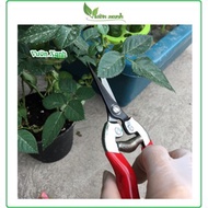 Scissors for pruning branches, flower branches, small branches