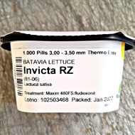 INVICTA RZ BATAVIA LETTUCE SEEDS (1000 PILLS) by RIJK ZWAAN