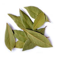 dried Bay leaf Laurel (Laurus nobilis) daun salam turkey the Mediterranea  sweet bay tree common bay