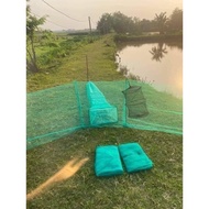 Growing to block rivers. catch aquatic products. Can block sewers, rivers, streams, ditches, ditches