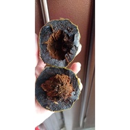 biji.benih.black.sapote.巧克力布丁果种子（黑柿）