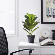 Premium Artificial Tree 50cm Fiddle Leaf Fig Ficus Tree Fake Plants