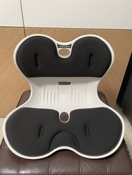 ROICHEN Ergonomic Posture Seat