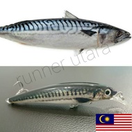 Fishing lure 16cm 30g gewang casting gt mackerel minnow tuna sardin toman rod trolling rapala Fishin