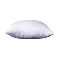 Pillow Core 30x50cm/40x40cm/45x45cm/50x50cm/55x55cm/60x60cm/65x65cm Square Pillow With Multiple Size