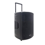 New Polytron Profesional Active Speaker 15 inch PAS PRO15F3 (Radio +