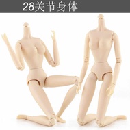New version of 28 joint body change doll body20260413