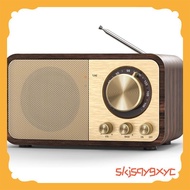 FM Radio Portable Transistor Radio Multifunctional Radio skjsqygxyc.