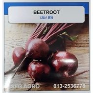 BENIH BEETROOT @ UBI BIT (30 BIJI)