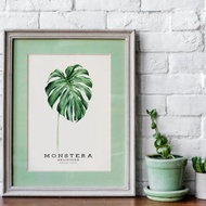 【龜背竹】限量版複製畫 | 北歐家居綠植掛畫 | 植物圖鑒藝廊牆
