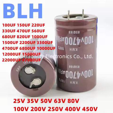 2PCS Audio Electrolytic Capacitor 25V 35V 50V 63V 80V 100V 200V 250V 400V 450V 1000UF 1500UF 2200UF 