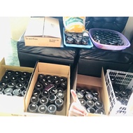 12 jars Pork bagoong