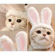 YG BUNNY HAT Costume/CUTE CAT DOG ANIMAL HAT COSTUME WITH ATTRACTIVE DESIGN