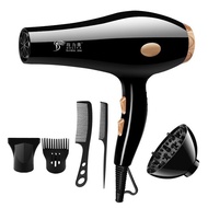 READY STOCK DLY-8033 DELIYA PROFESSIONAL ANION BLUE-RAY LIGHT HAIR DRYER 2200W