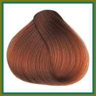 ✯ ☺ ❍ BREMOD HAIR COLOR LIGHT COPPER BLOND 8.43