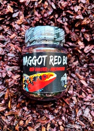 MAGGOT RED (MERAH) BOS BOS QU ORIGINAL REPACK 10GR