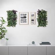 FEJKA Artificial plant, wall mounted/in/outdoor