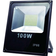 Flood Light/ 100W Led Spotlight