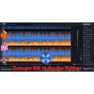 iZotope RX 11 Audio Editor Advanced