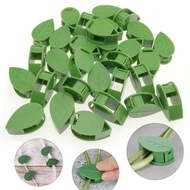 ZITONG Klip Batang Tanaman Invisible Plan Vine Fixture 60 PCS - GL8