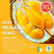 Musang King D197 Kawin