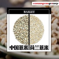 [200g/500g Barley Holland Barley Barli • Chinese Barley Holland Barley