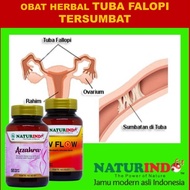 Untukmu Herbal Penyumbatan Tuba Tuba Falopi Tersumbat herdal