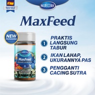 Bluecore Maxfeed Fish Fry Food