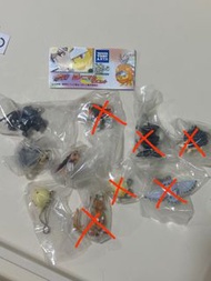 中古絕版 家庭教師 Hitman Reborn! 匣動物 扭蛋