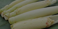 Promo telur tebu terubuk fresh sayur terubuk