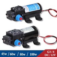 DC/12V 45/60/80/100 Watt Micro Electric Diaphragm Water Pump Self