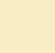 S.W Davies Sun & Rain Odourless Elastomeric Waterproofing Paint 4 Liter #270