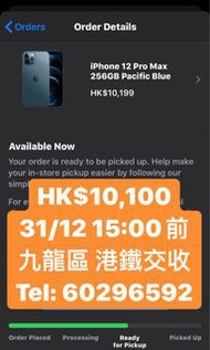 iPhone 12 Pro Max 藍色 256GB