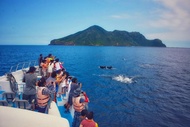 龜山島牛奶海賞鯨、鹿爺爺超萌動物、伯朗大道、凱渡廣場酒店ㄧ泊二食二日