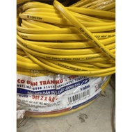 Tran Phu 2x4 flat double wire (price 1 meter)