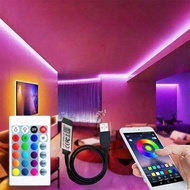 1 Set Of RGB LED Light Strip, DC5V, 2 Control Methods: APP And 24-Key Remote Control, USB Powered. T