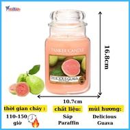 Hũ nến thơm Delicious Guava Yankee Candle YAN5119 (Size L 623g)