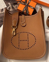 Hermes Mini Evelyne
