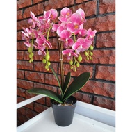 POKOK HIASAN ORKID SIAP GUBAH | 4 TANGKAI | ARTIFICIAL | BUNGA ORKID | ORKID | ARTIFICIAL FLOWER | P