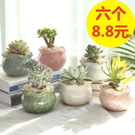 Succulent Flower Pot Ceramic Large Breathable Creative Indoor Succulent Small Flower Pot Wholesale Large Diameter