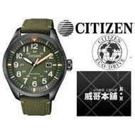 【威哥本舖】星辰CITIZEN全新原廠貨 AW5005-21Y 光動能軍用尼龍帶手錶