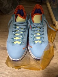 Nike Lebron 19 Low Space Jam 波鞋