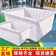 Fish Turnover Rectangular Water Tank Thickened Plastic Breeding Tank Beef Tendon Beef Tendon Aquatic