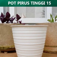 Tapered wasp pot MT 15 white Tall Wasp Pot/ 15 Tall Honey Pot 15/ Tapered Flower Pot Turquoise Pot