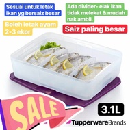 Freezermate 3L Tupperware