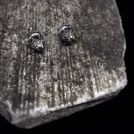 生物學/Mustela putorius furo雪貂 925純銀耳環