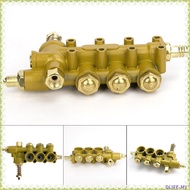 DLIFE⭐QL280 Cleaning Machine Pump Head Assembly Car Washing Machine Pump Head Block