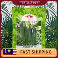 Paket 50 Gram TYREKE 159 F1 Biji Benih Timun Batang Cap Panah Merah / East West Seed / F1 Hybrid Cuc